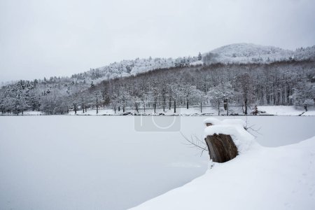 Foto de Árboles en la nieve. Paisaje invernal. Geoparque en Europa. Lago congelado. - Imagen libre de derechos