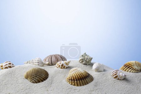 Foto de Conchas marinas sobre un fondo azul playa de arena - Imagen libre de derechos