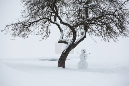 Foto de En Navidad. El muñeco de nieve arroja nieve en el bosque nevado de invierno. Diversión y juegos de invierno. - Imagen libre de derechos
