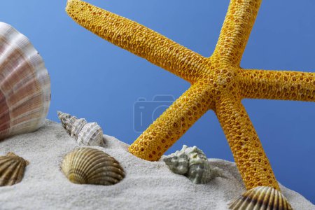 Foto de Estrella de mar en la playa - Imagen libre de derechos