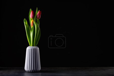 Foto de Hermoso tulipán rojo que brilla en la oscuridad - toma de estudio - Imagen libre de derechos