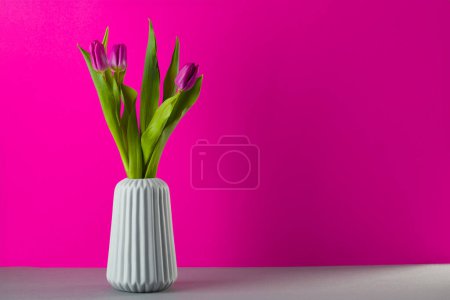 Foto de Bouquet of pink and purple tulips in a vase on pink background, spring flowers for women, copy space - Imagen libre de derechos