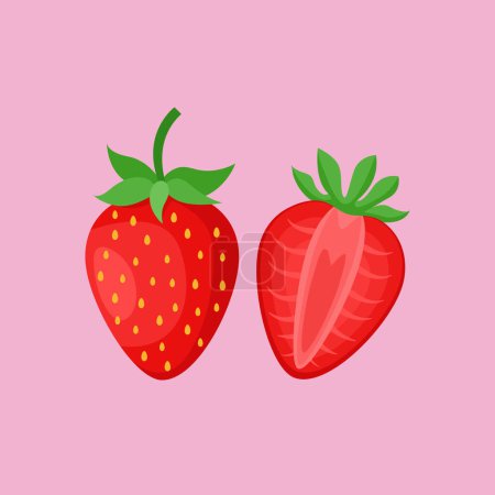 Téléchargez les illustrations : Fresh natural strawberry. Organic antioxidant strawberry. Vector illustration - en licence libre de droit