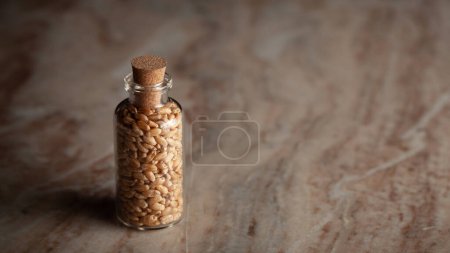 Una pequeña botella de vidrio llena de trigo orgánico (Triticum) se coloca sobre un fondo de mármol.
