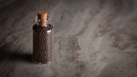 Una pequeña botella de vidrio llena de semillas de mostaza negra orgánica (Brassica nigra) se coloca sobre un fondo de mármol.