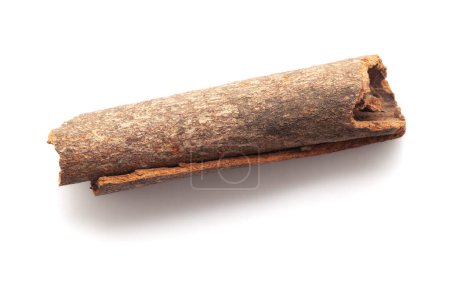 Primer plano del bastón de canela (Cinnamomum verum) aislado sobre un fondo blanco. Vista superior