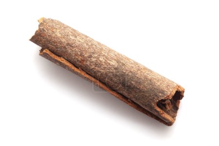 Close-up of Cinnamon stick (Cinnamomum verum) isolated on a white background.