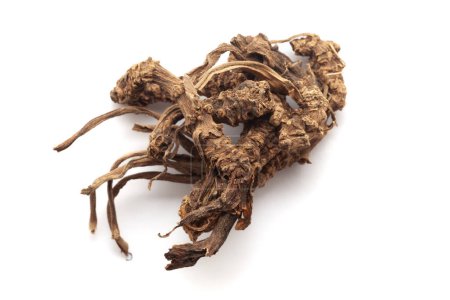 Close-up of Dry Sugandha Bala (Pavonia Odorata) roots, isolated on a white background. Top view