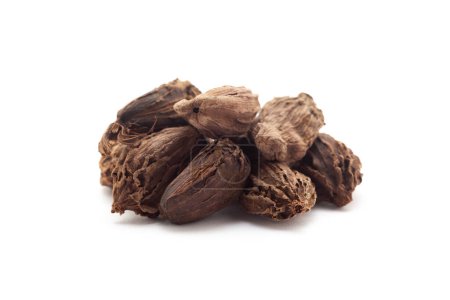 Close-up of Organic Black cardamom (Amomum subulatum)  on a white background. Pile of Indian Aromatic Spice. Front view