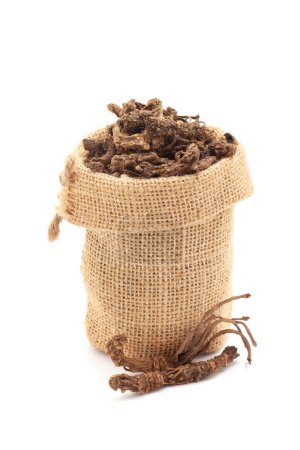 Close-up of Dry organic Sugandha Bala (Pavonia Odorata) roots, in a jute bag. Isolated over a white background.