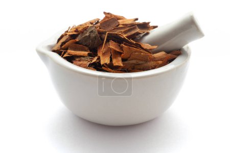 Close-up of Dry organic Cinnamon sticks (Cinnamomum verum), in white ceramic mortar and pestle, isolated on a white background.