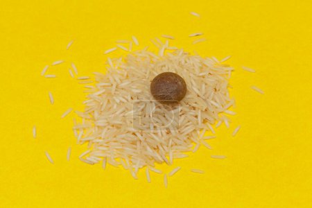 Ein Stück Bete Nut (Areca catechu) mit Reis (Oryza sativa), auf gelbem Hintergrund.