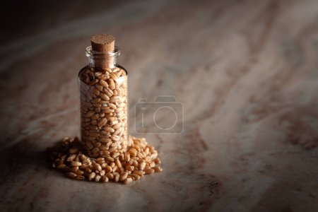 Une petite bouteille en verre remplie de blé biologique (Triticum) est placée sur un fond de marbre.