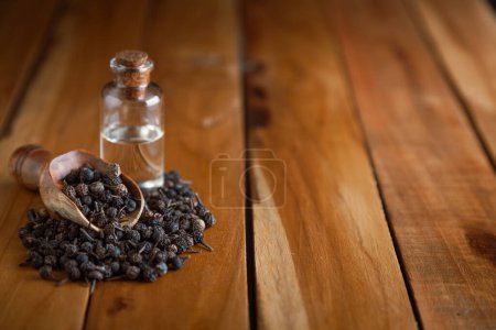 Photo for Dry organic Sheetal Chini (Piper cubeba) seeds, in a wooden scoop along with its essential oil. - Royalty Free Image
