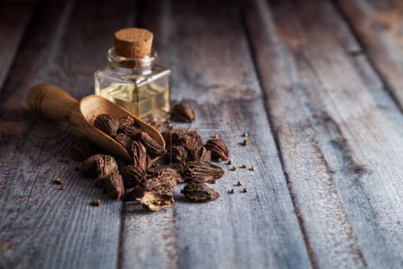 Dry organic Black cardamom (Amomum subulatum), in a wooden scoop along with its essential oil.