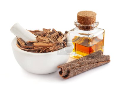 Dry organic Cinnamon sticks (Cinnamomum verum), in white ceramic mortar and pestle, along with its essential oil.