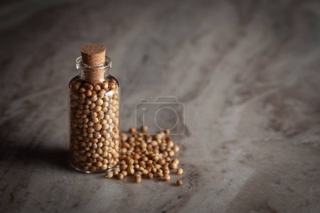 Foto de Una pequeña botella de vidrio llena de semillas secas orgánicas de cilantro (Coriandrum sativum) se coloca sobre un fondo de mármol. - Imagen libre de derechos