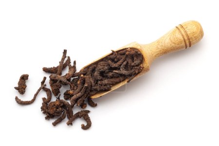 Top view of Dry Organic Nirgundi (Vitex negundo) roots, in a wooden scoop. Isolated on a white background.