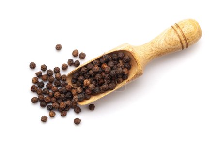Top view of Organic  Black pepper (Piper nigrum) in a wooden scoop. Isolated on a white background.