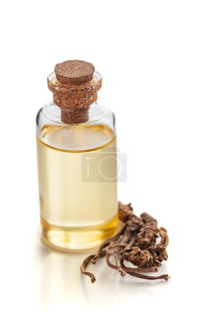 Dry organic Sugandha Bala (Pavonia Odorata) roots, along with its essential oil. Isolated on a white background.