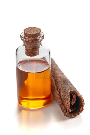 Dry organic Cinnamon stick (Cinnamomum verum), along with its essential oil. Isolated on a white background.