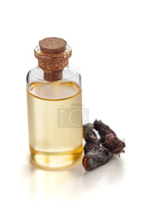 Dry organic Nagarmotha (Cyperus scariosus) roots, along with its essential oil. Isolated on a white background.