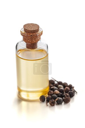 Dry organic Sheetal Chini (Piper cubeba) seeds, along with its essential oil. Isolated on a white background.