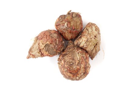 A pile of Dry Organic Spectacular Eulophia or Eulophia ochreata or Tubers of Amarkand (Eulophia nuda) fruits, isolated on a white background. Top view