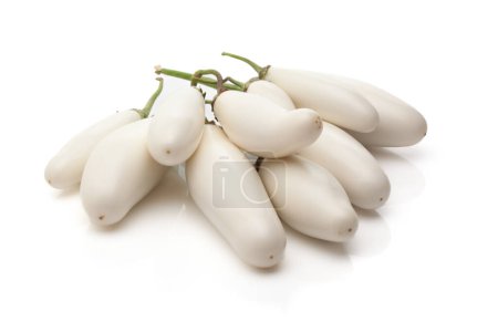 Close-up of organic white fresh Eggplant or Brinjal (Solanum melongena), isolated on a white background.