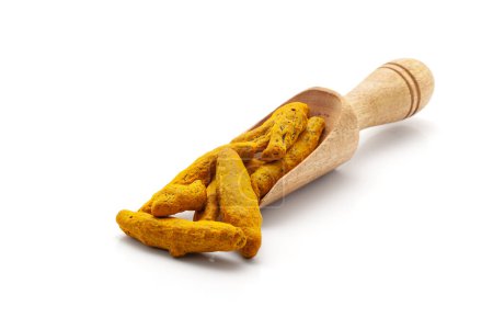 Front view of a wooden scoop filled with Organic whole Turmeric or Haldi (Curcuma longa). Isolated on a white background.