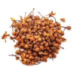 A pile of Dry Organic Ceylonironwood or Nagkesar (Mesua ferrea) seeds, isolated on a white background. Top view