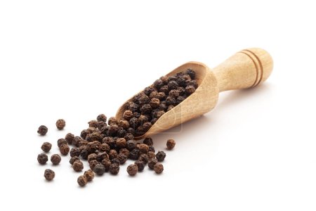 Top view of Organic Black pepper (Piper nigrum) in a wooden scoop. Isolated on a white background.