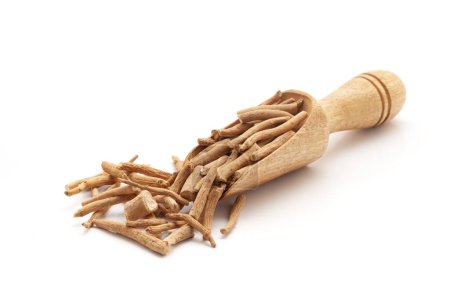 Front view of a wooden scoop filled with Dry Organic Ashwagandha (Withania somnifera) roots. Isolated on a white background.