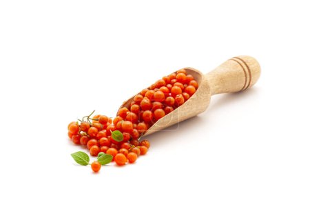 Front view of a wooden scoop filled with Fresh Organic Red nightshade or Makoy (Solanum nigrum) fruit. Isolated on a white background.