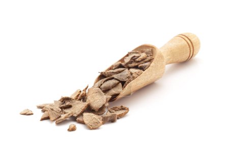 Front view of a wooden scoop filled with Organic kapoor kachri (Hedychium spicatum). Isolated on a white background.