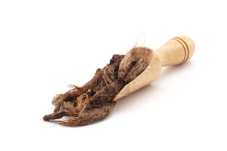 Front view of a wooden scoop filled with Organic Jatamansi (Nardostachys jatamansi) roots. Isolated on a white background.