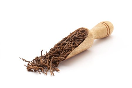 Front view of a wooden scoop filled with Organic sarpagandha  (Rauvolfia serpentina) roots. Isolated on a white background.