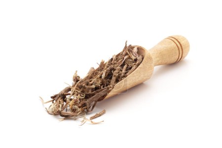 Front view of a wooden scoop filled with Organic Pellitory roots (Anacyclus pyrethrum). Isolated on a white background.