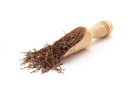 Front view of a wooden scoop filled with Organic Amar Bel (Cuscuta reflexa) roots. Isolated on a white background.