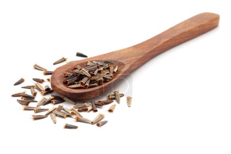 Front view of a wooden spoon filled with Organic Tithonia (Tithonia diversifolia) seeds. Isolated on a white background.