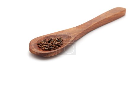 Front view of a wooden spoon filled with Organic Salvia (Salvia officinalis) seeds. Isolated on a white background.