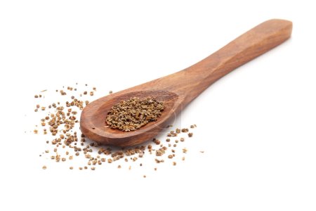 Front view of a wooden spoon filled with Organic Kochia (Bassia scoparia) seeds. Isolated on a white background.