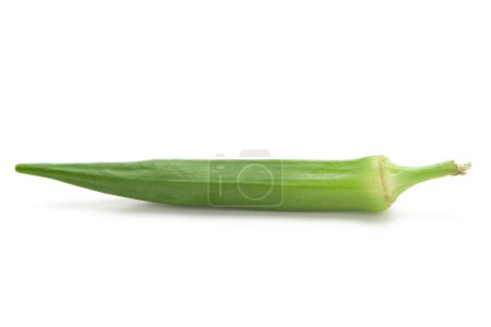Gros plan d'Okra frais vert biologique ou de fruits des doigts de femme (Abelmoschus esculentus) isolés sur un fond blanc