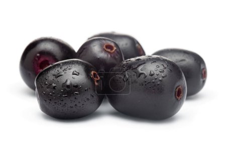 Close-Up of collection of Indian Ayurvedic medicinal fresh organic fruit jamun (Syzygium Cumini) or black plum isolated in white background. 