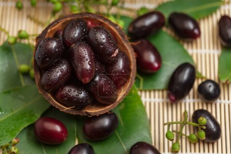 Nahaufnahme einer Sammlung indischer ayurvedischer medizinischer frischer Bio-Früchte Jamun (Syzygium Cumini) (Jamun-Samen sind eine Art ayurvedisches Kraut gegen Diabetes