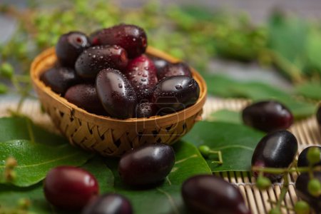 Nahaufnahme einer Sammlung indischer ayurvedischer medizinischer frischer Bio-Früchte Jamun (Syzygium Cumini) (Jamun-Samen sind eine Art ayurvedisches Kraut gegen Diabetes