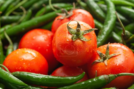 Téléchargez les photos : Close-Up of of Indian Organic fresh tomato (Solanum lycopersicum ) and green chili ( Capsicum annuum ) - en image libre de droit