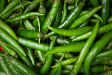 Téléchargez les photos : Close-Up of of Indian Organic fresh green chili ( Capsicum annuum ) as full frame background - en image libre de droit