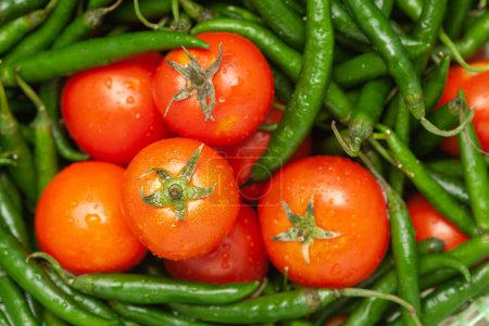 Téléchargez les photos : Close-Up of of Indian Organic fresh tomato (Solanum lycopersicum ) and green chili ( Capsicum annuum ) - en image libre de droit