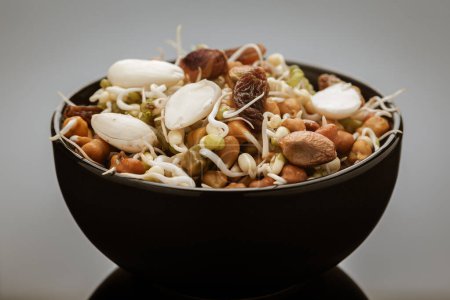 Close-up of Eine Mischung aus organischen Sprossen Samen sprießt (keimt) Schale enthält Mandeln, Erdnüsse, schwarzes Gramm, Wheet, Bockshornklee und Mungbohnen, in Schüssel im Studio